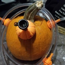 zucca festa narghilè attrezzo Halloween bong pentola marijuana ganja reeferit droga sballato alto 3d print model - Mito3D