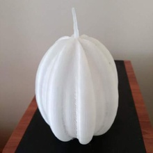 la calabaza calabaza.casa.paisaje.de halloween.de fruta.de planta.polymakerchallenge 3d print model - Mito3D