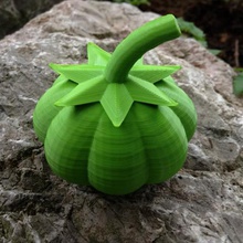 Kürbis home halloween 2016 Gemüse deco Dekoration Kunst Haus Herbst Garten - Erstellung Saison 3d print model - Mito3D