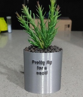 punny planter 07 - pretty fly cacti pot plant home funny original fdm garden ender art 3d print model - Mito3D