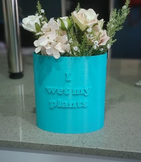 punny planter 10 - wet plants Home pot plant home funny original 3d print model - Mito3D