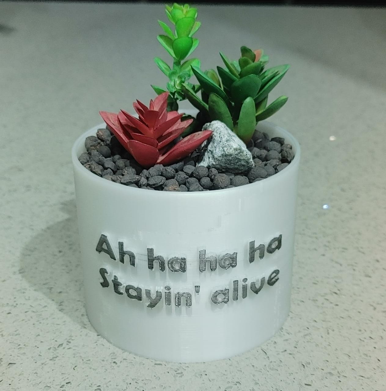 punny planter 11 - stayin' alive Home pot planter plant pot pot plant punny planter funny pot home  3D print model - Mito3D