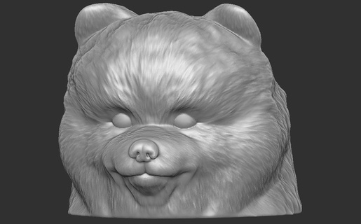 puppy pomeranian dog head 3d printing pomeranian puppy animal bernese mountain dog saint bernard newfoundland rottweiler pitbull shepherd german dane chihuahua bulldog labrador retriever husky  3d print model - Mito3D