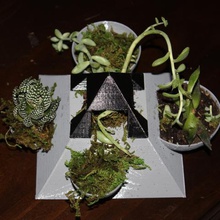 Pyramide saftigen Pflanzer home Sukkulenten 3d print model - Mito3D