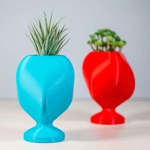 qbco pentola piante grasse vaso design succulenta 3d print model - Mito3D