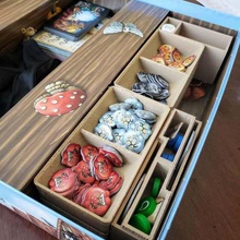 os charlatães quedlinburg insira as bandejas jogo boardgame insere organizador charlatões quacksalber brinquedo de acessórios 3d print model - Mito3D