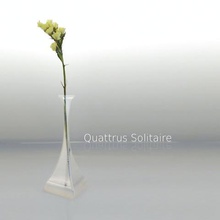 quattrus solitaire sanat vazo çiçek 3d print model - Mito3D