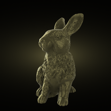 rabbit 3d print model - Mito3D