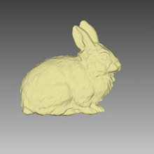 il coniglio art 3d print model - Mito3D