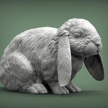 rabbit american fuzzy fop 3d print model 3d print model - Mito3D
