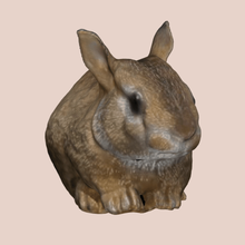 rabbit decoration 3d print model - Mito3D