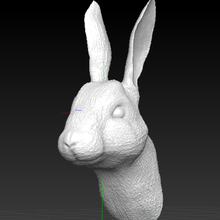 tavşan baş Evcil Hayvanlar dekorasyon hobi hayvanlar Sanat 3d print model - Mito3D