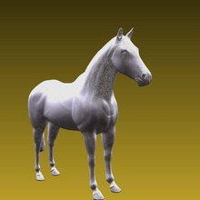 raça cavalo 3d print model - Mito3D
