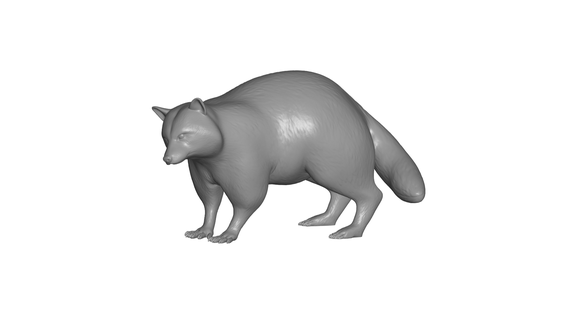 raton laveur art animal sculpture jungle 3d print model - Mito3D