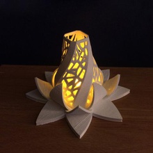 radiant blossom home 3d print model - Mito3D