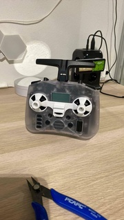 radiomaster poche cardan protecteur drone 3d print model - Mito3D