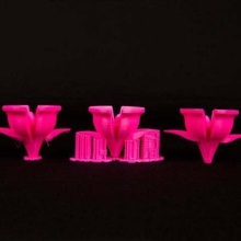 balsas apoya flores de la herramienta La impresión en 3d las pruebas kit printkit makerbotintheclassroom makerbotedu 3d print model - Mito3D