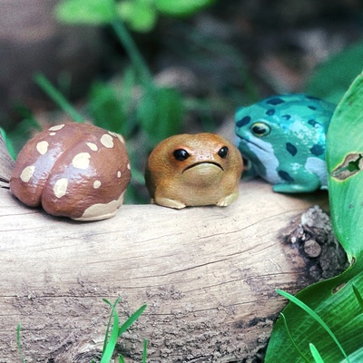 rain frog art rana rainfrog cute collectible toy sculpture animal miniature 3d print model - Mito3D