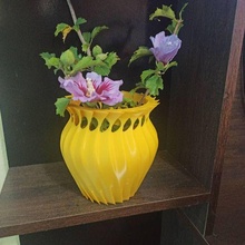 rare vase 3d print model - Mito3D