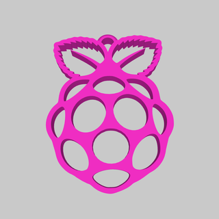 raspberry pi earrings raspi jewelry gift pendant 3dprint oma petg abs resin valentines pla 3d print model - Mito3D