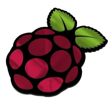 raspberry pi logo various computer strawberry carefully made 3d print model - Mito3D