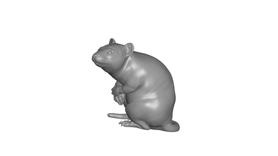 rat Art rat - animal sculpture jungle art  3d print model - Mito3D