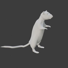 rat game 3d print model - Mito3D
