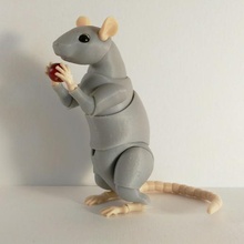 rat bjd vários mouse brinquedo 3d print model - Mito3D