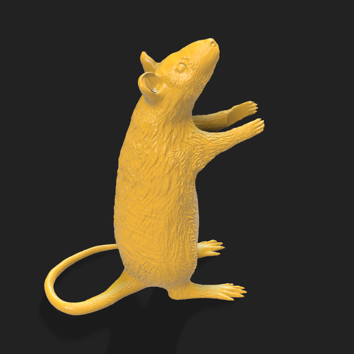 rat lamp 3D print model - Mito3D