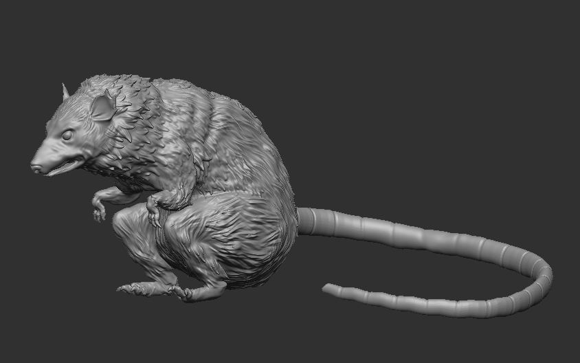 ratto vero topo minusature natura arte animale 3D print model - Mito3D