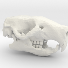rat skull art animal council skeleton bones 3d print model - Mito3D