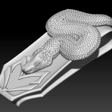 chocalho serpente dinheiro grampo marco valenzuela moda decoração joalheria texas vaqueiro ocidental 3d print model - Mito3D