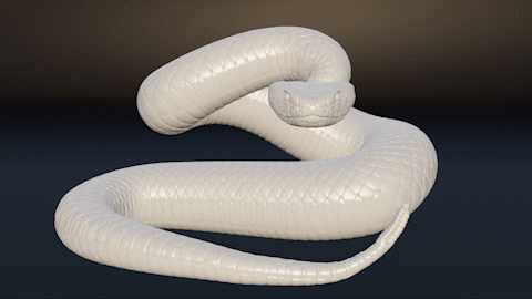 çıngıraklı yılan hayvan sürüngen 3d basılı şekil gerçekçi vahşi doğa Biyoloji zooloji heykel dekorasyon modeller 3d print model - Mito3D