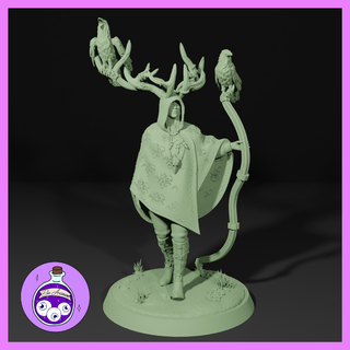 kuzgun bekçi kadın Druid elf yarım insan Kadın eğilmek karga fey ttrpg dnd Zindanlar Ejderhalar minyatür yol bulucu 3d print model - Mito3D