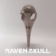 raven skull jewelry ravenskull raven skull art jewel jewel cranial crow halloween