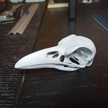 raven skull art raven skull crow head animal 3d print model - Mito3D