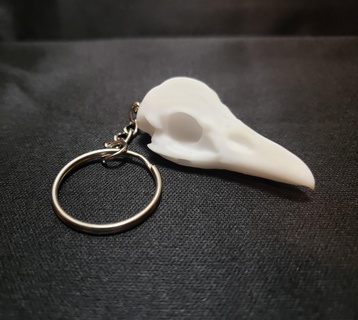 Corvo cranio portachiavi chiave catena uccello 3d print model - Mito3D