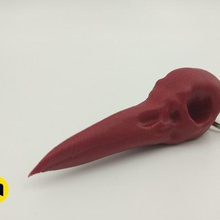 raven skull art science nature death bones animals 3d print model - Mito3D