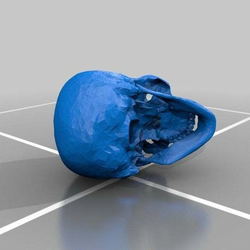rcs cranio umano 3D print model - Mito3D