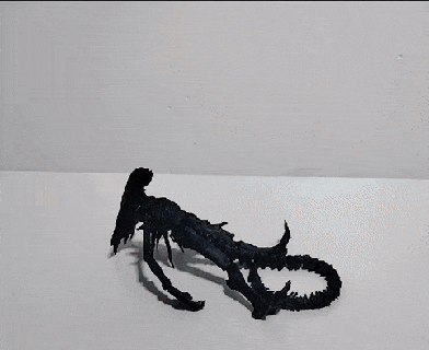 real alien xenomorph flexi 3d print model - Mito3D