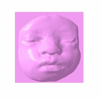 gerçek bebek ultrason taramak ultrasonik 3d model hayat mucizesi bebekbumpjoy minik kalp atışı sevinç paketi ilk bakış büyüsü küçükontheway doğum öncesi merak anları Değerli sevgisi Büyüyen aile sevinci 3d print model - Mito3D