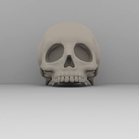 reale cranio arte 3D print model - Mito3D