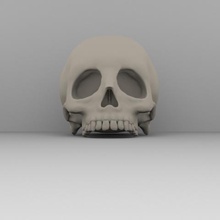 gerçek kafatası sanat 3d print model - Mito3D