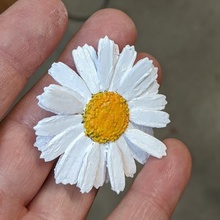 realistico margherita capelli ornamento moda fiore pin indossabile arte natura wildflower 3d print model - Mito3D
