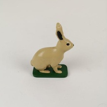 realistic educational hare 3d print model - Mito3D