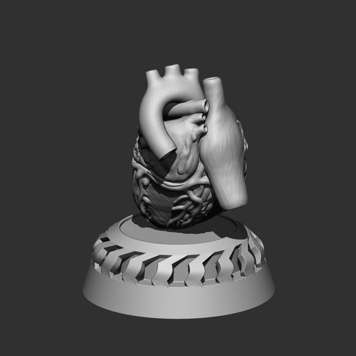 gerçekçi kalp 3D print model - Mito3D