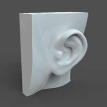 realistic lifesize female ear various human woman 3d print model - Mito3D