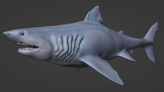 gerçekçi megalodon Sanat meg Köpekbalığı tarih öncesi 3d print model - Mito3D