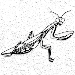 realistisch beten Gottesanbeterin Mauer Kunst Insekt Dekor Entomologie Entomologe 2d wal 3d print model - Mito3D