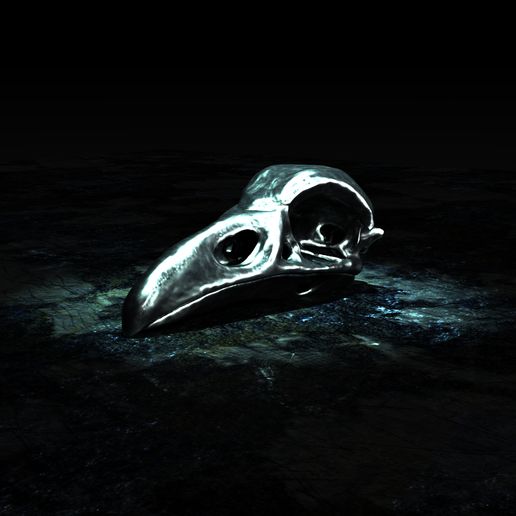 realista cuervo cráneo 3D print model - Mito3D